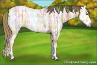 Horse Color:Nacre Plaid  Red Ice Roan Splash Rabicano 