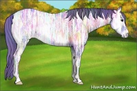 Horse Color:Nacre Watercolor Blue Onyx Ice Rabicano 