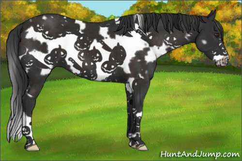 Horse Color:White Spotted Liver Chestnut Frame