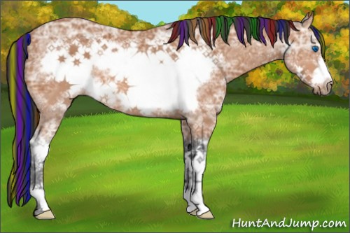Horse Color:ERROR: UNKNOWN ANOMALY