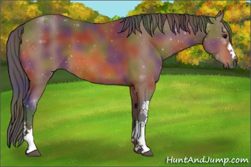 Horse Color:Nacre Bay 