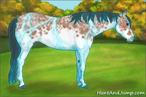 Horse Color:Thunderstruck White Spotted Bay Ice
