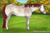 Horse Color:Painted Liver Red Dun Ice Onyx 