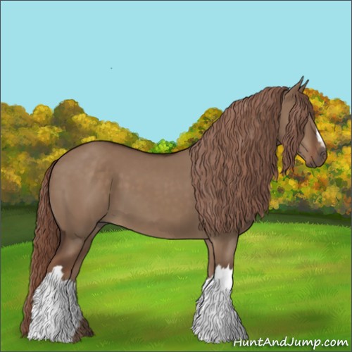 Horse Color:Liver Red Dun 