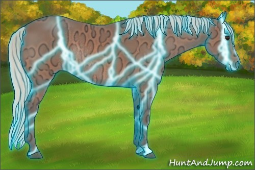 Horse Color:Thunderstruck Silver Bay Ice Rabicano