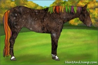 Horse Color:Painted Chestnut Ice 