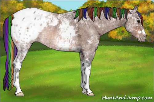 Horse Color:Painted White Spotted Bay Ice Appaloosa Rabicano