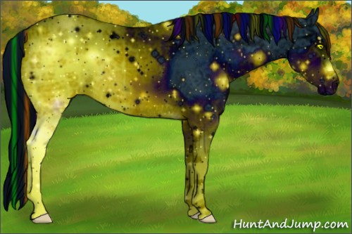 Horse Color:ERROR: UNKNOWN ANOMALY