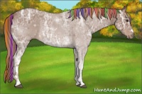 Horse Color:Painted White Spotted Chestnut Ice