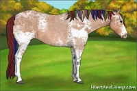 Horse Color:Painted White Spotted Bay Ice 