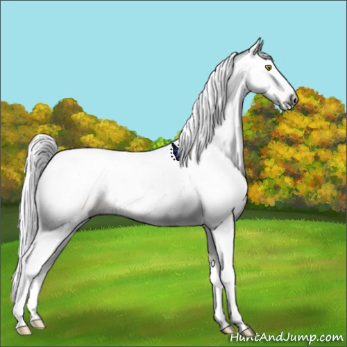 Horse Color:Gray Amber Champagne 