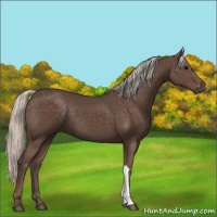 Horse Color:Silver Black 