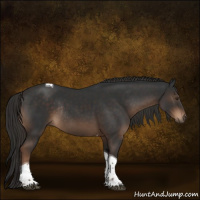 Horse Color:Liver Chestnut Tobiano Rabicano 