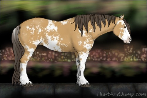 Horse Color:Buckskin Sabino