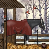 Horse Color:Black Splash