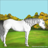 Horse Color:Gray Brown Roan Splash Frame 