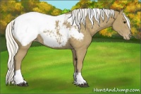 Horse Color:Silver Smoky Black Tobiano Snowcap 