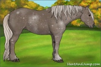 Horse Color:Silver Black Sabino 