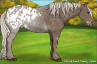 Horse Color:Silver Black Blanket 
