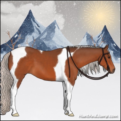 Horse Color:Silver Bay Tobiano 