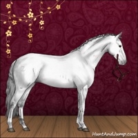 Horse Color:Gray White Spotted Bay Roan 