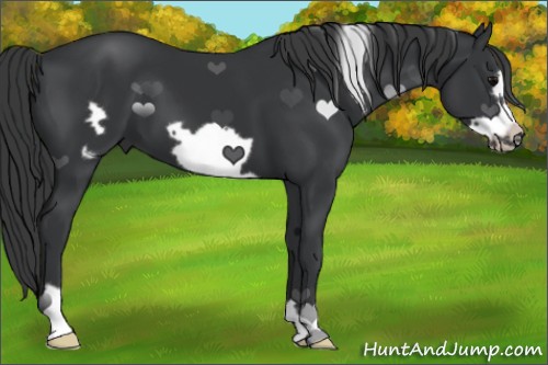 Horse Color:Black Frame 