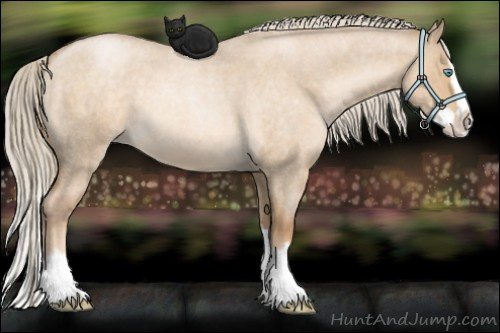 Horse Color:Chocolate Palomino Roan Pearl Dun Splash 