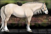 Horse Color:Chocolate Palomino Roan Pearl Dun Splash 