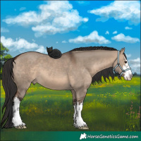 Horse Color:White Spotted Brown Dun