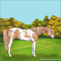 Horse Color:Chestnut Tobiano Frame 