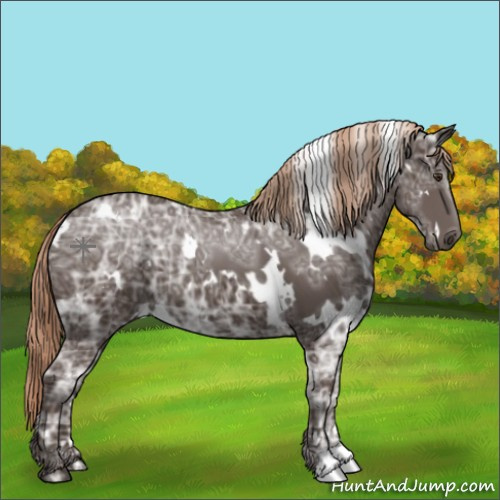 Horse Color:White Spotted Liver Chestnut Ice 