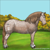 Horse Color:Chestnut Ice 
