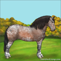 Horse Color:Bay Ice 