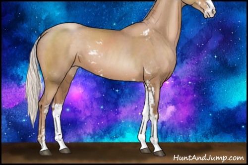 Horse Color:Silver Black Pearl Sabino 