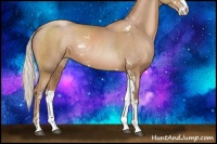 Horse Color:Silver Black Pearl Sabino 