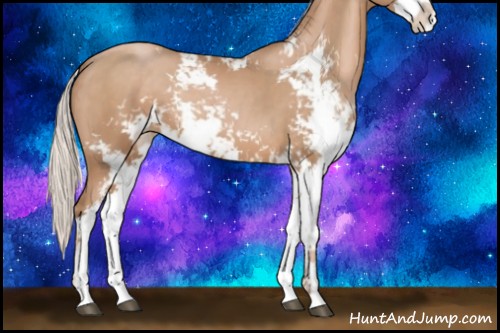 Horse Color:Silver Black Pearl Sabino 