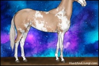 Horse Color:Silver Black Pearl Sabino 