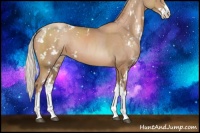 Horse Color:Silver Black Pearl Sabino 