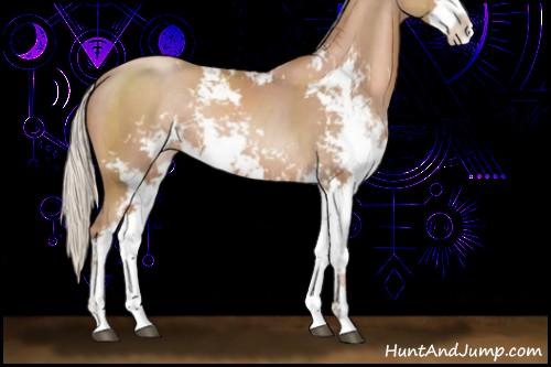 Horse Color:Silver Black Pearl Sabino Rabicano