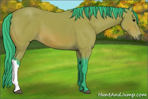 Horse Color:Watercolor Bay 
