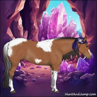 Horse Color:Bay Tobiano Frame Rabicano 