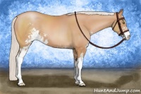 Horse Color:Silver Bay Pearl Sabino 