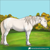 Horse Color:Perlino Dun Tobiano 