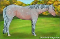 Horse Color:Watercolor Liver Chestnut 