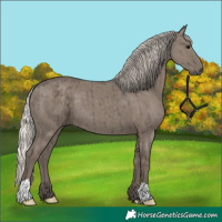 Horse Color:Silver Grullo Brindle