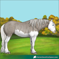 Horse Color:Silver Smoky Blue Roan Splash Rabicano