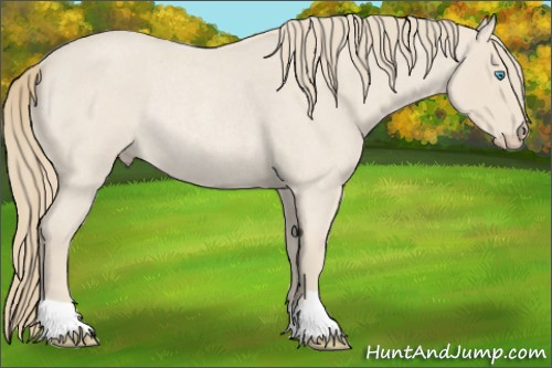 Horse Color:Smoky Creme Roan Rabicano 
