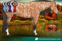 Horse Color:Buckskin Dun  and Bay 