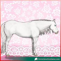 Horse Color:Perlino 