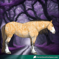 Horse Color:Buckskin Splash and Buckskin Roan Sabino